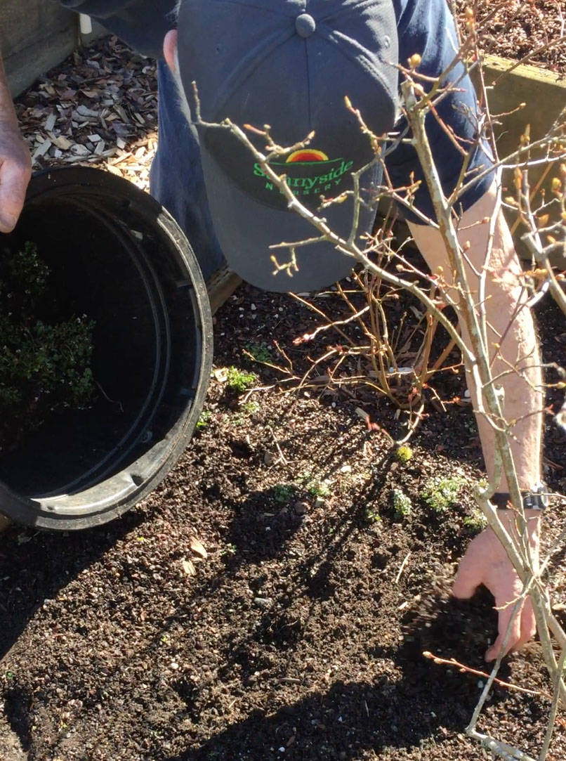 With temps rising, it’s time to weed and plant