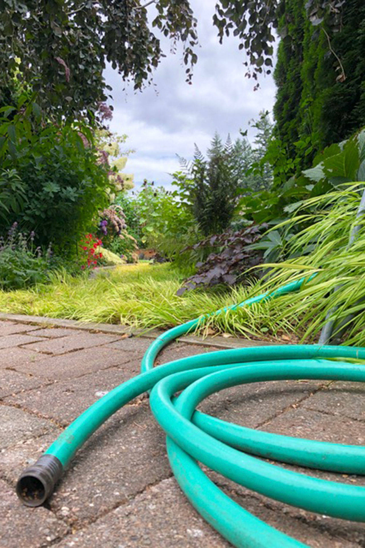 Garden work now will save you time next spring