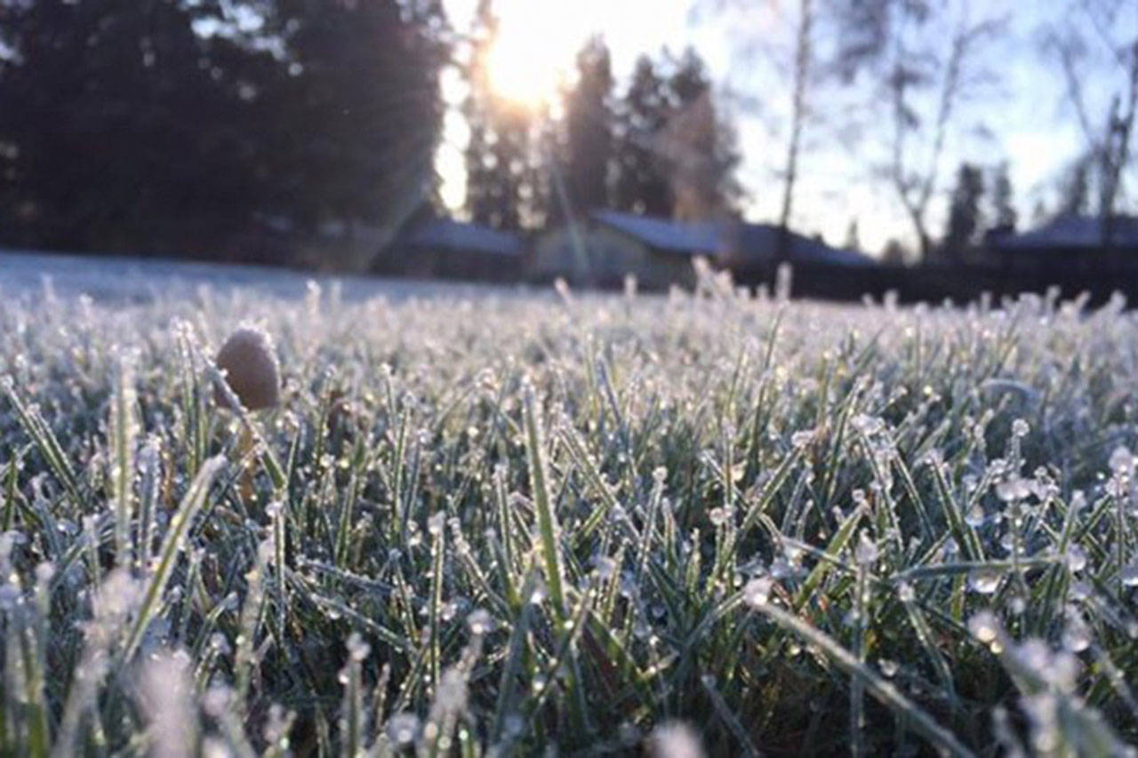 Courtesy Photos                                 Be sure to protect your garden when snow and frost comes.