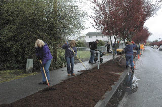 Volunteers from around the city came out in some unseasonably cold